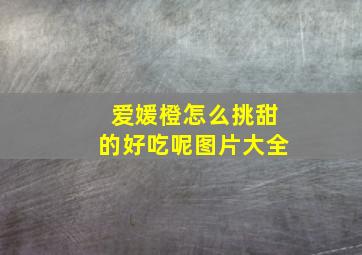 爱媛橙怎么挑甜的好吃呢图片大全