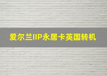 爱尔兰IIP永居卡英国转机