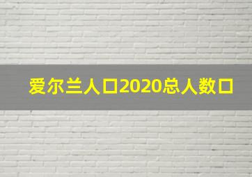 爱尔兰人口2020总人数口