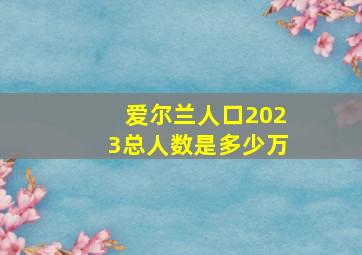 爱尔兰人口2023总人数是多少万