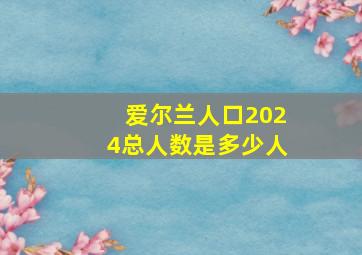 爱尔兰人口2024总人数是多少人