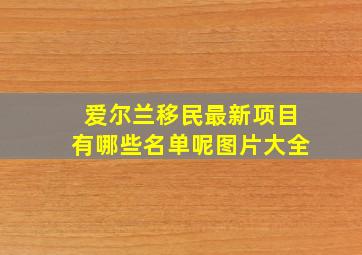 爱尔兰移民最新项目有哪些名单呢图片大全