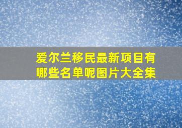 爱尔兰移民最新项目有哪些名单呢图片大全集