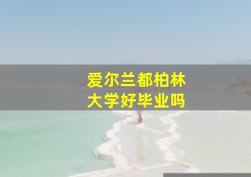 爱尔兰都柏林大学好毕业吗