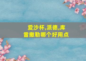 爱沙杯,派德,库雷撒勒哪个好用点