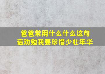 爸爸常用什么什么这句话劝勉我要珍惜少壮年华