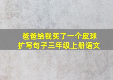 爸爸给我买了一个皮球扩写句子三年级上册语文