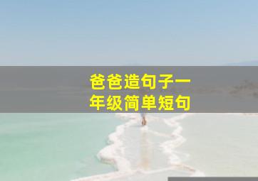 爸爸造句子一年级简单短句