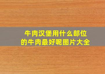 牛肉汉堡用什么部位的牛肉最好呢图片大全