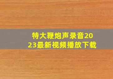 特大鞭炮声录音2023最新视频播放下载