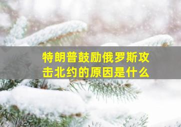 特朗普鼓励俄罗斯攻击北约的原因是什么