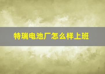 特瑞电池厂怎么样上班