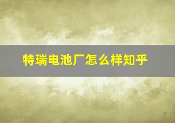 特瑞电池厂怎么样知乎