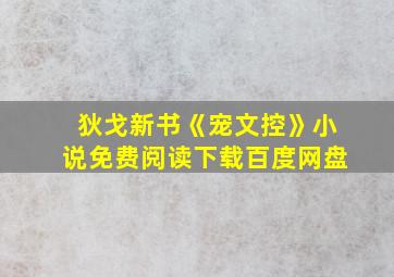 狄戈新书《宠文控》小说免费阅读下载百度网盘