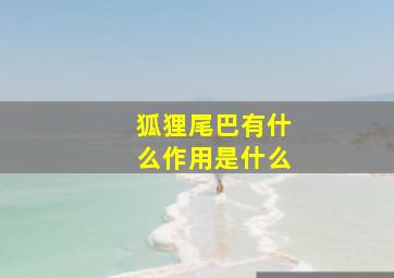 狐狸尾巴有什么作用是什么