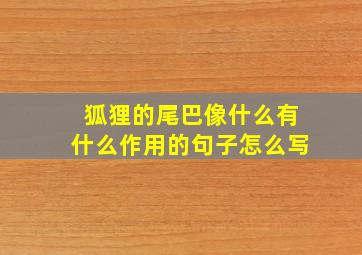 狐狸的尾巴像什么有什么作用的句子怎么写