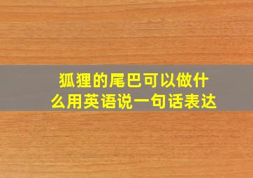 狐狸的尾巴可以做什么用英语说一句话表达