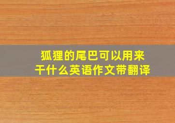 狐狸的尾巴可以用来干什么英语作文带翻译