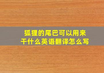 狐狸的尾巴可以用来干什么英语翻译怎么写