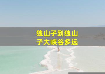 独山子到独山子大峡谷多远