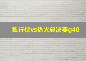 独行侠vs热火总决赛g40