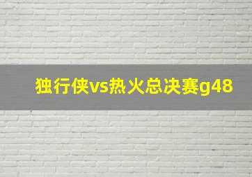 独行侠vs热火总决赛g48