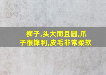 狮子,头大而且圆,爪子很锋利,皮毛非常柔软