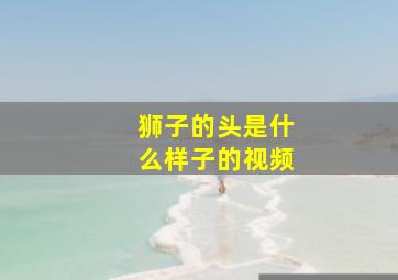 狮子的头是什么样子的视频