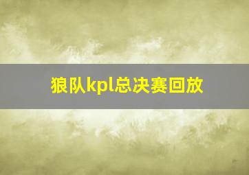 狼队kpl总决赛回放