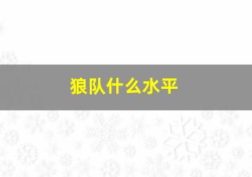 狼队什么水平