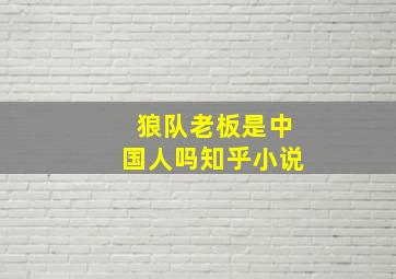 狼队老板是中国人吗知乎小说