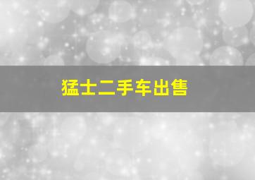 猛士二手车出售