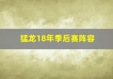 猛龙18年季后赛阵容