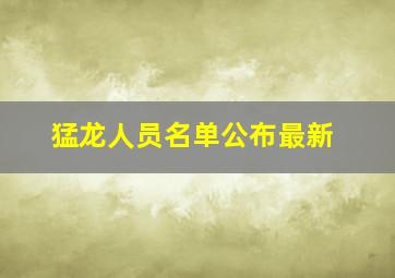 猛龙人员名单公布最新