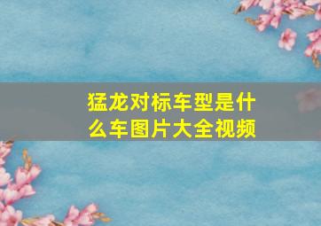 猛龙对标车型是什么车图片大全视频