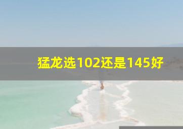 猛龙选102还是145好