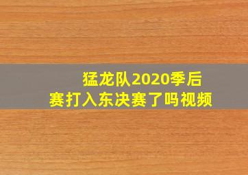 猛龙队2020季后赛打入东决赛了吗视频