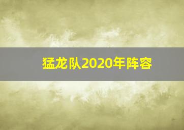 猛龙队2020年阵容