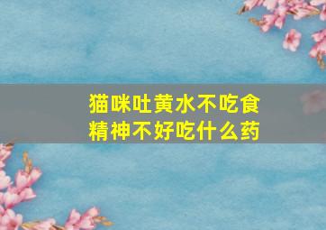 猫咪吐黄水不吃食精神不好吃什么药