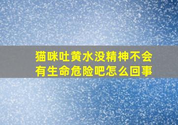 猫咪吐黄水没精神不会有生命危险吧怎么回事