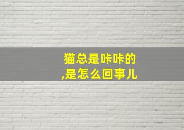 猫总是咔咔的,是怎么回事儿