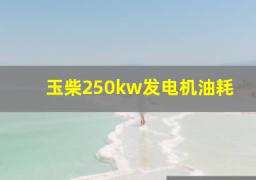 玉柴250kw发电机油耗