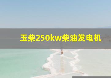 玉柴250kw柴油发电机