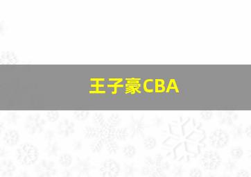 王子豪CBA