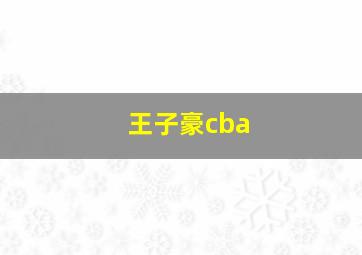 王子豪cba