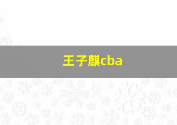 王子麒cba