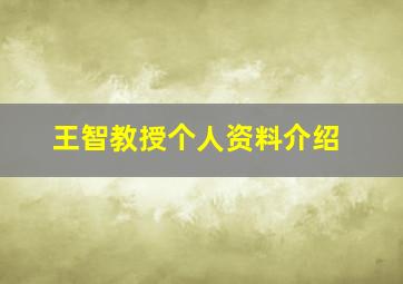 王智教授个人资料介绍