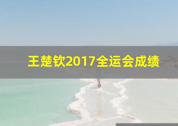 王楚钦2017全运会成绩