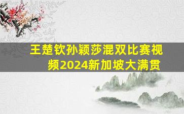 王楚钦孙颖莎混双比赛视频2024新加坡大满贯