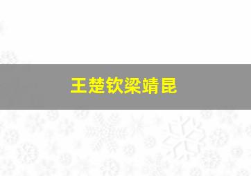 王楚钦梁靖昆